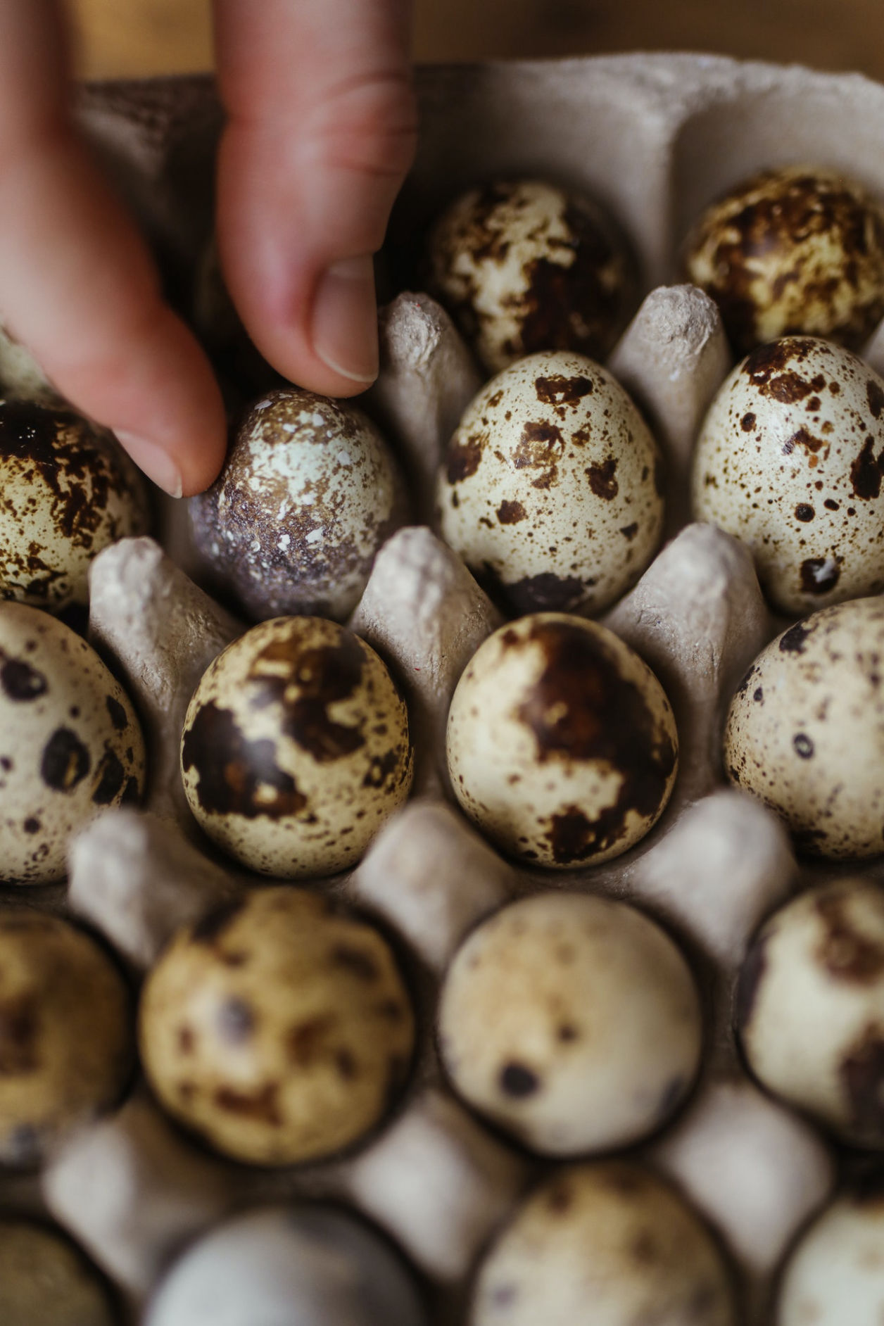 Image of quail eggs in basket